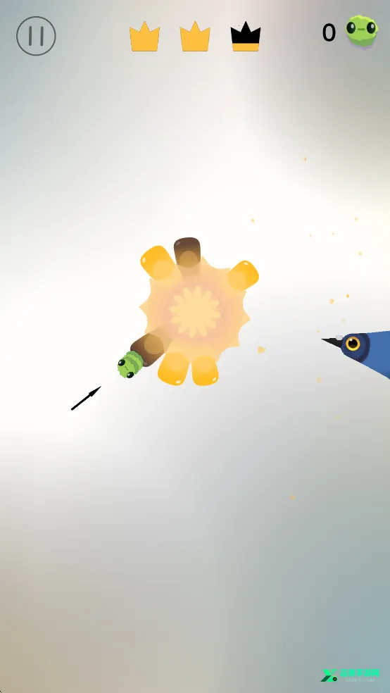 ���ĸ���pigeonpop