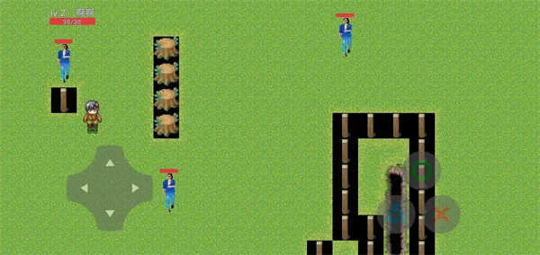 ��ɫ����