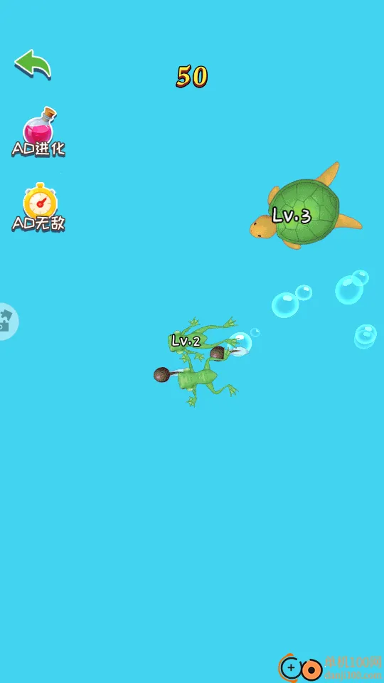 ��Ҫ��������