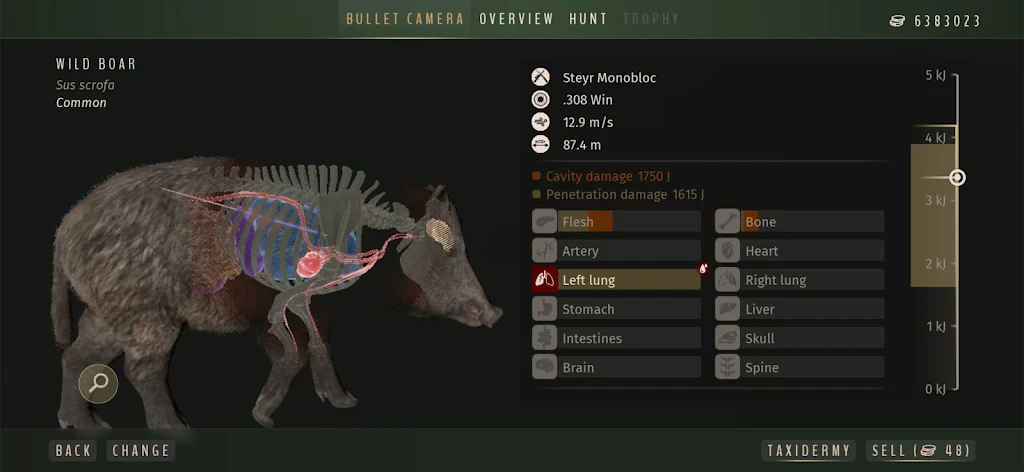 ����֮·����Ұŷ��v1.0.12 ��׿��