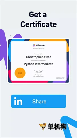 SoloLearn2026���°汾
