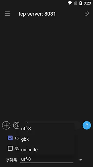 NetAssist�������