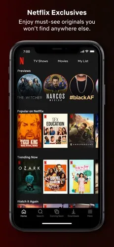 ����Netflix2026���ذ�װv9.18.0 �ٷ�����
