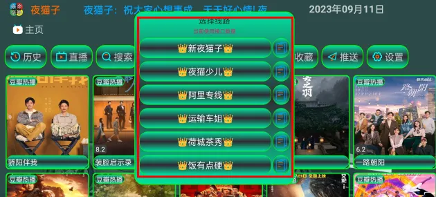 夜猫子(游戏辅助器)