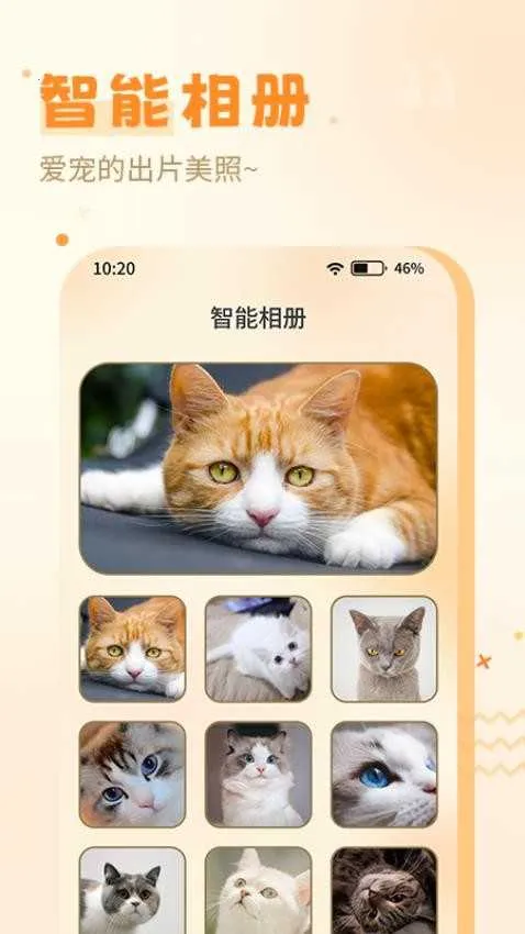 ����è��(è�ﻥ������)v1.0.0 ��Ѱ�