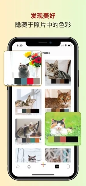 ɫ��ɫ������(��ɫ����)v2.5.38 �ֻ���