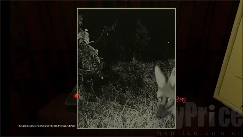 动物观察员恐怖游戏