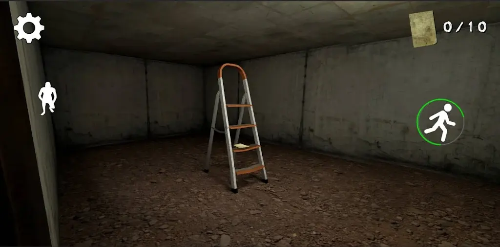 �ֲ������ڹ���2026�ٷ����°汾v1.1 �ֻ���