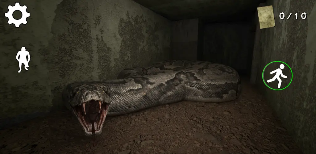 �ֲ������ڹ���2026�ٷ����°汾v1.1 �ֻ���