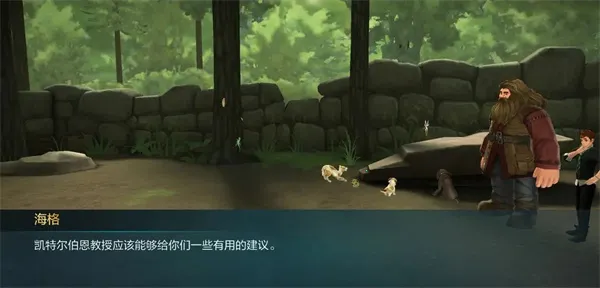 �������ػ����ִ�֮���ƽ��������ʯ