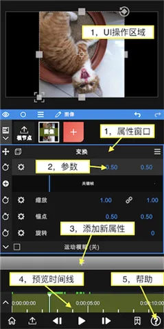 nodevideo破解版下载最新版本