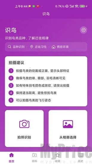 识鸟(鸟类识别工具)