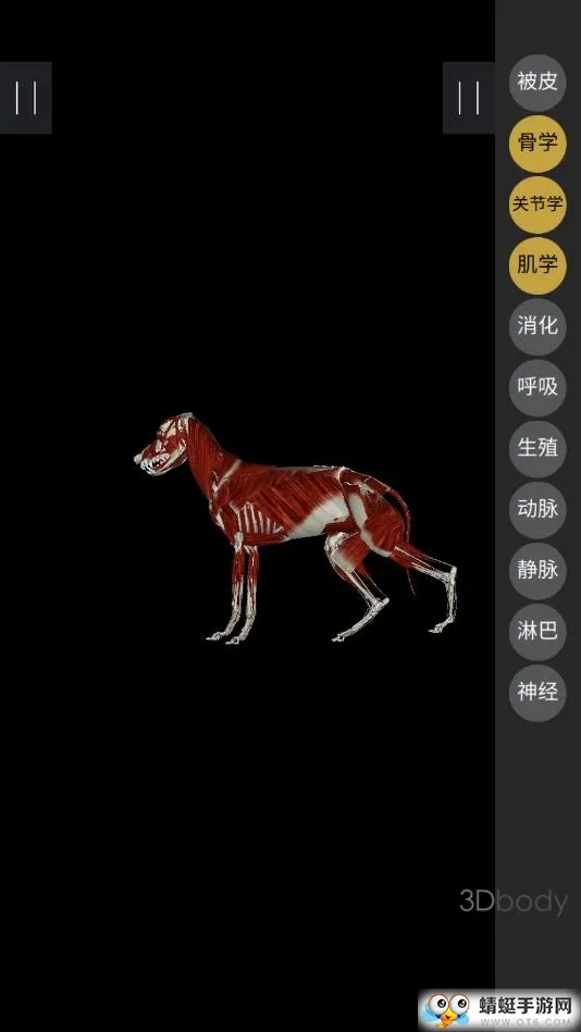 3dbody��������v8.8.72 ��׿��