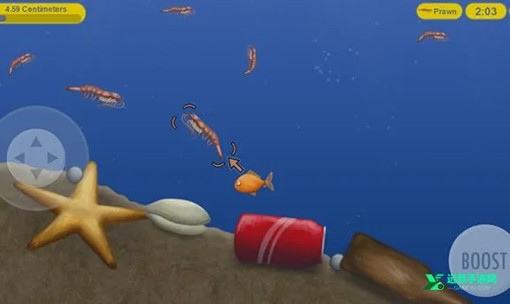 ��ζ���������