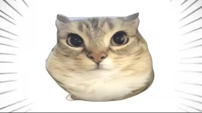 �ͰͲ�һ2026���°汾v1.0 ��Ѱ�