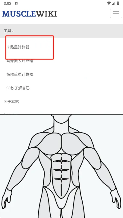 Muscle Wiki2026���ذ�װv3.0.9 ��Ѱ�
