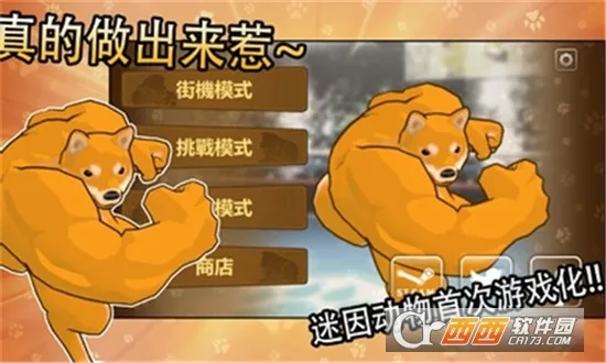 ����֮ս(����������)v1.0 �ֻ���