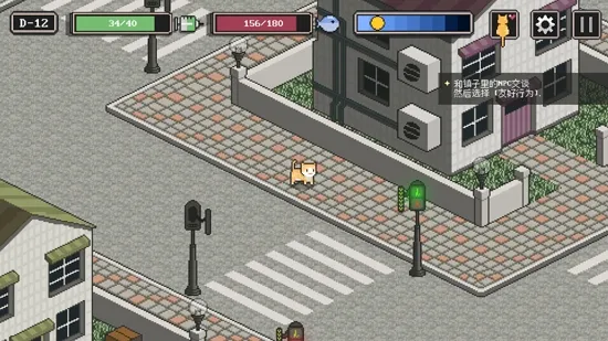 ����è����֮·�����ֻ���