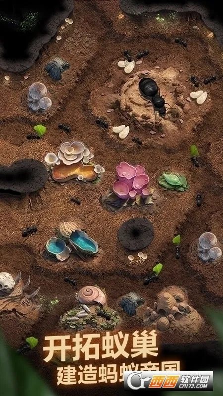 The Ants2026�ٷ����°汾v3.87.0 �ֻ���