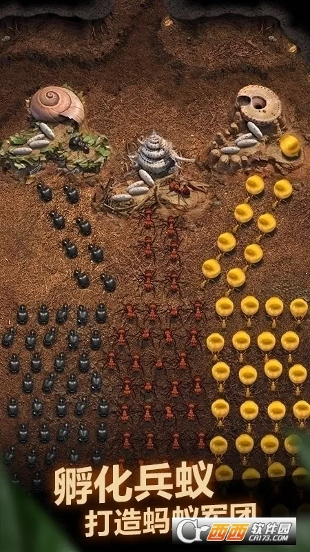 The Ants2026�ٷ����°汾v3.87.0 �ֻ���