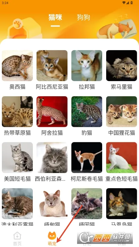 Ԫ����ֽƽ�������v2.0.5 ��׿��