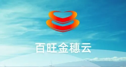 ����������(��˰����ƽ̨)