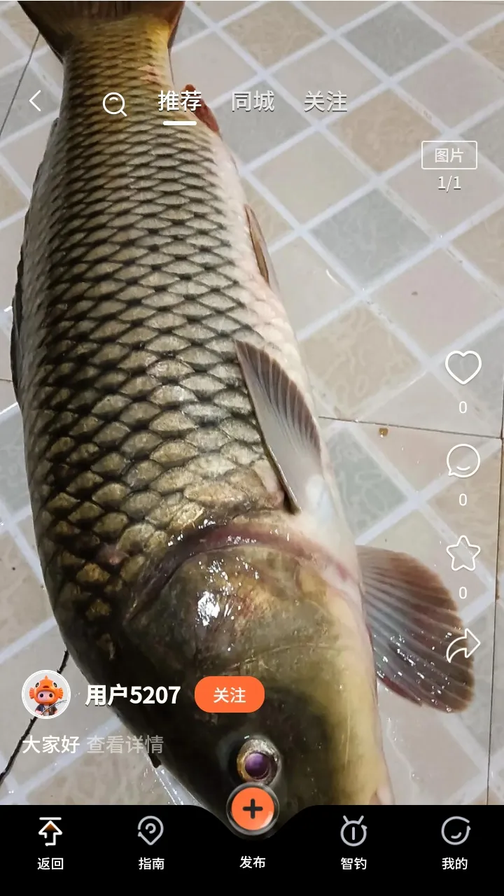 С�����������2026����v1.0.11 ��Ѱ�