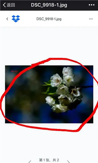 dropbox��׿���ֻ���