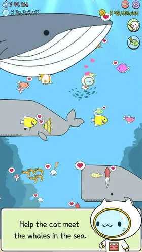 ˮ��è���İ氲׿���ֻ���v1.0.1 �ֻ���