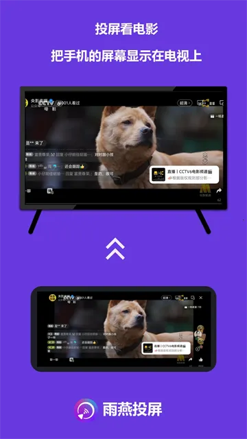 ����Ͷ�����Ӱ�(Ͷ����������ȫ)v6.2.5.13 �ٷ�����