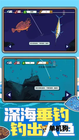 �Ϻ�С���2026�ٷ�����