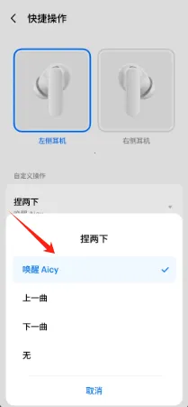 �������(������������)