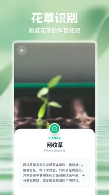 ���⻨2026�ٷ�����v1.1 �ֻ���