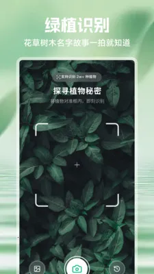 ���⻨2026�ٷ�����v1.1 �ֻ���