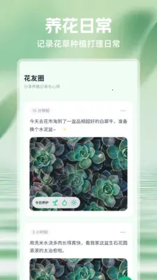 ���⻨2026�ٷ�����v1.1 �ֻ���