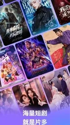 影搜搜浏览器(影视小说搜索器)