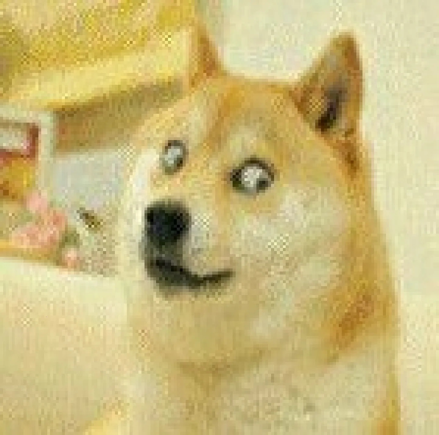 尘埃辅助器62.0版本下载尘埃v3 免费版