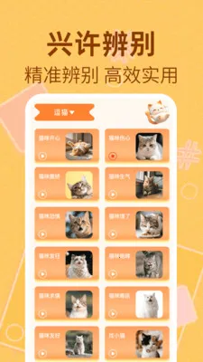 è�����﷭����2026�ٷ�����v1.0.2 �ֻ���