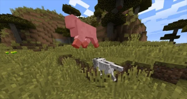 CAT�Ƽ�2026����v1.0 ��׿��