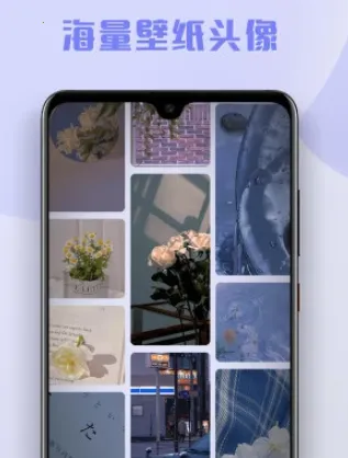 ��������ֽ2026�ٷ����°汾