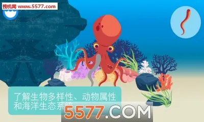 Ocean(�ͥԺ��Ϸ)v1.15.0 ��׿��