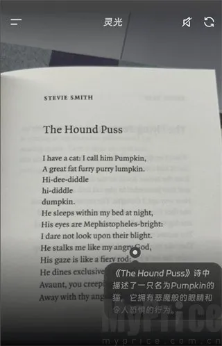 ���AI��������
