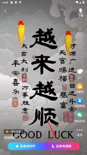 ������Ƶ�������2026���°汾