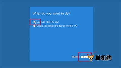 windows11ģ����(�ֻ�ģ��Win11)