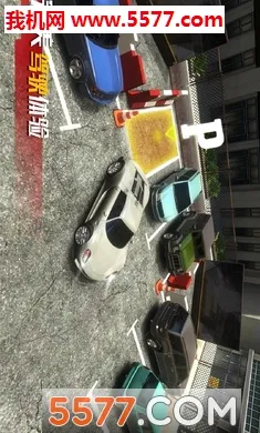 ��ʵͣ������(ģ��ͣ����Ϸ)v1.0.0 �ֻ���