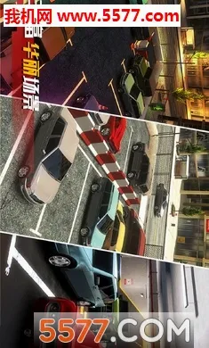 ��ʵͣ������(ģ��ͣ����Ϸ)v1.0.0 �ֻ���