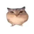 �ͰͲ�һ����(���滥��������Ϸ)v1.0 �ֻ���