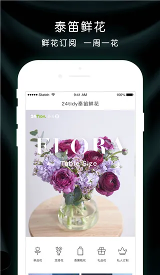 ̩������2026���°汾