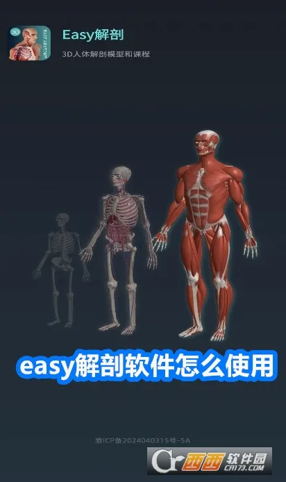 easy解剖(解剖学习平台) easy解剖(解剖学习平台)