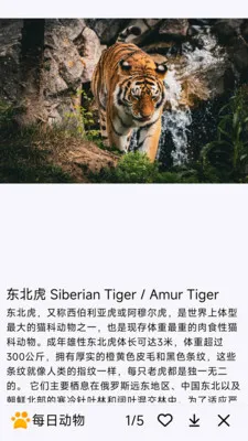 ÿ�ն���2026�ٷ����°汾v1.0.0 ��׿��